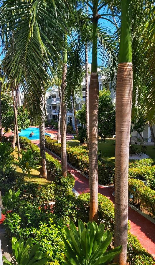 Punta Cana Blue Beach Estudio מראה חיצוני תמונה